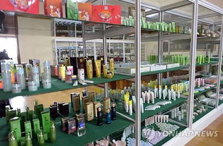 金正恩的隱藏身份 美妝達人化妝學校的秘密